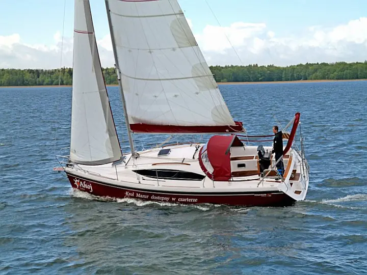 Maxus 33.1 RS Prestige - 
