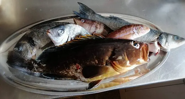 Gulet Adriatic Holiday - 