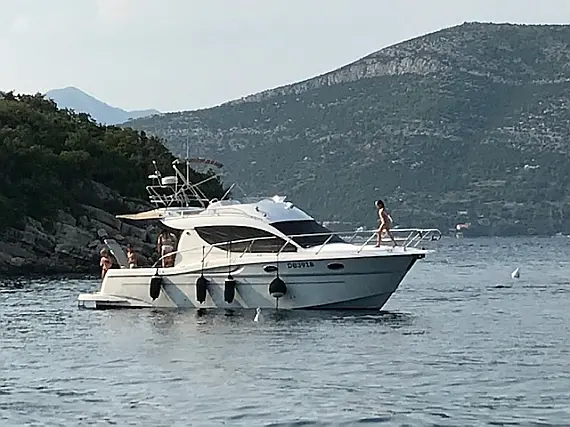 Sessa Dorado 32/36