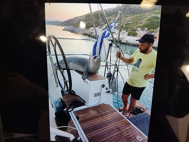 Sun Odyssey 440 - 