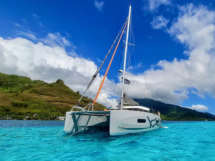 Excess 11 - External image