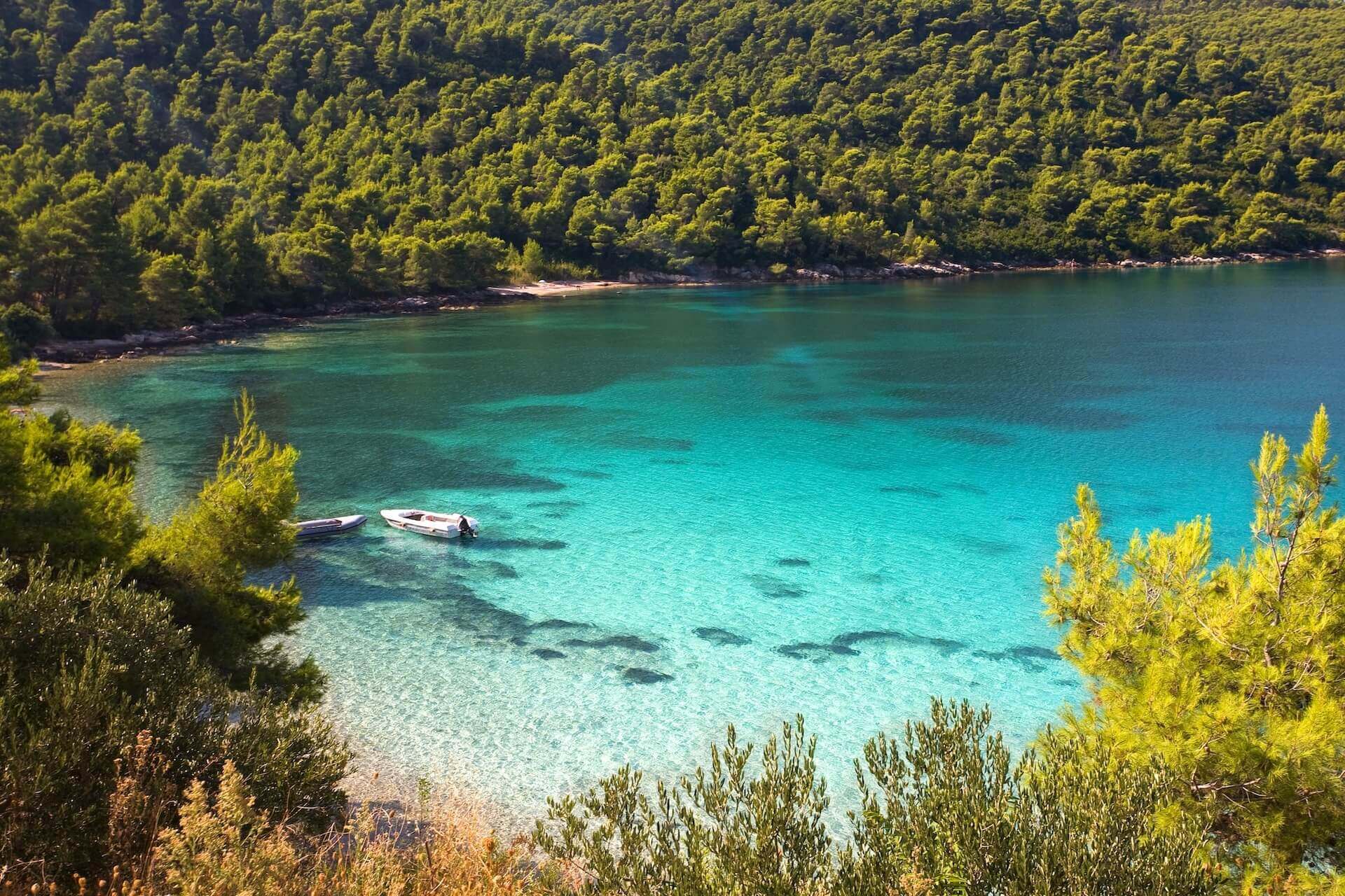 More than 8000 boats with real-time booking and availability