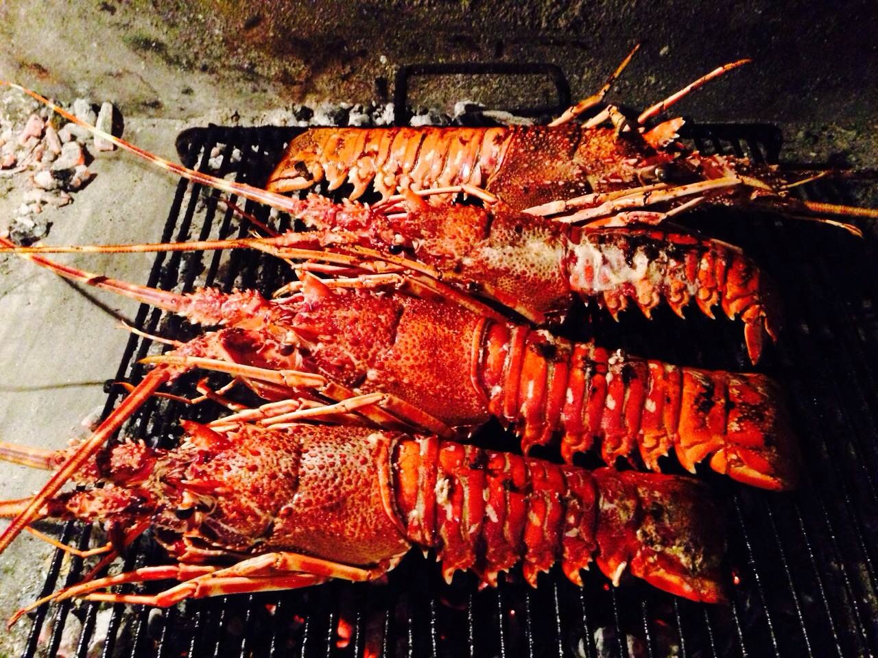 Four red lobsters on a grill