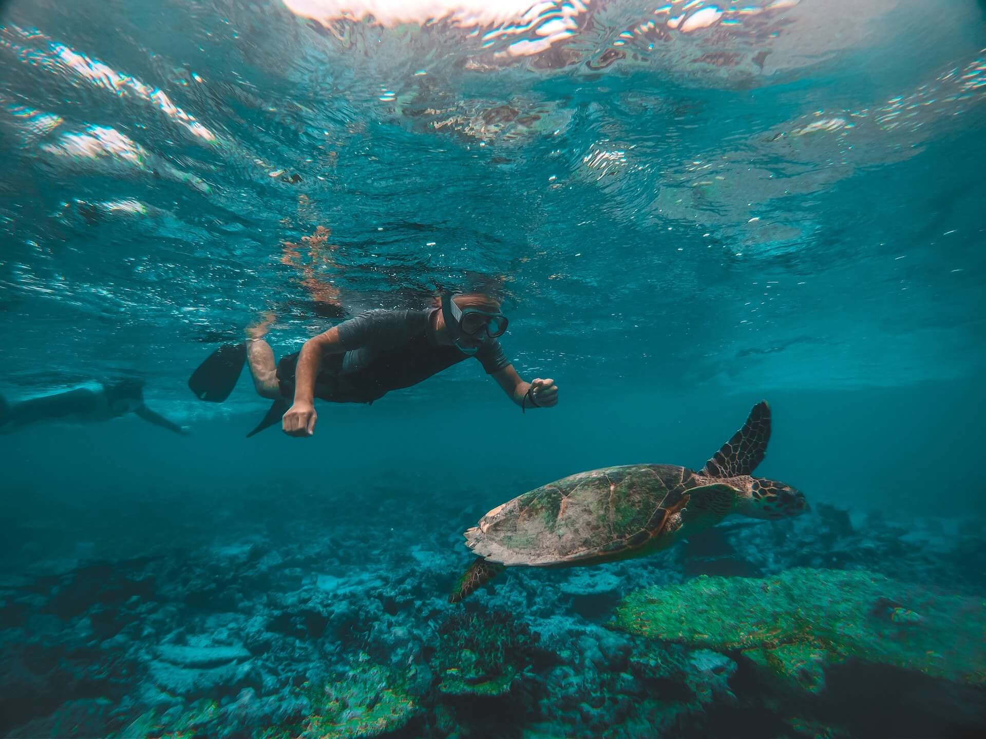 Like snorkeling? Here are the best places in Croatia to do so!