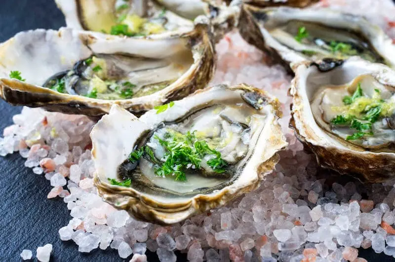 Oysters served on salt with parsley