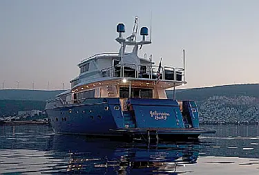 Johnson 87